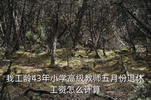 我工齡43年小學(xué)高級(jí)教師五月份退休工資怎么計(jì)算