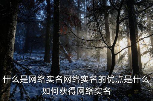 什么是網(wǎng)絡(luò)實名網(wǎng)絡(luò)實名的優(yōu)點是什么如何獲得網(wǎng)絡(luò)實名