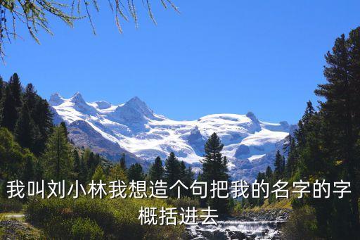 劉小林，我叫劉小林我想造個句把我的名字的字概括進去