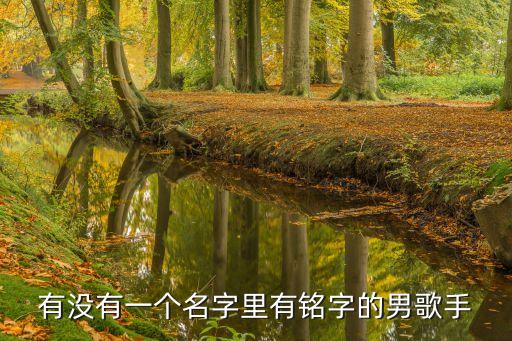 有沒有一個名字里有銘字的男歌手