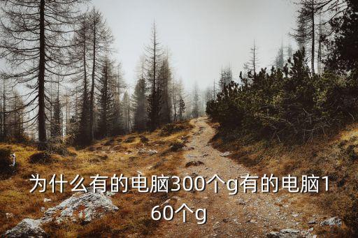 為什么有的電腦300個(gè)g有的電腦160個(gè)g