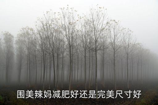 圍美辣媽，圍美辣媽精油多少錢