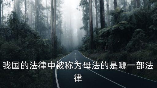 母法，我國的法律中被稱為的是哪一部法律