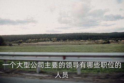 一個大型公司主要的領(lǐng)導(dǎo)有哪些職位的人員