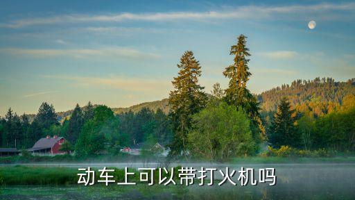 高鐵能帶火機嗎，請問動車上可以帶打火機和打火機油嗎
