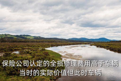 全損車什么意思，車損險分損和全損的含義誰知道啊知道的朋友請告知一下