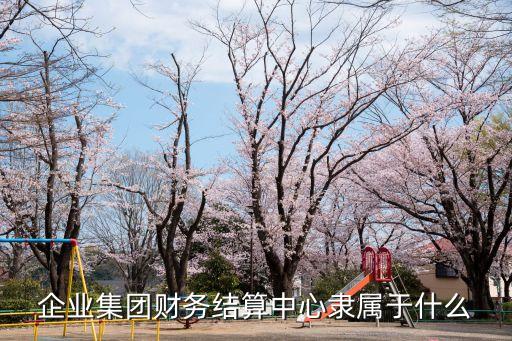 財務(wù)結(jié)算中心，企業(yè)集團財務(wù)結(jié)算中心隸屬于什么