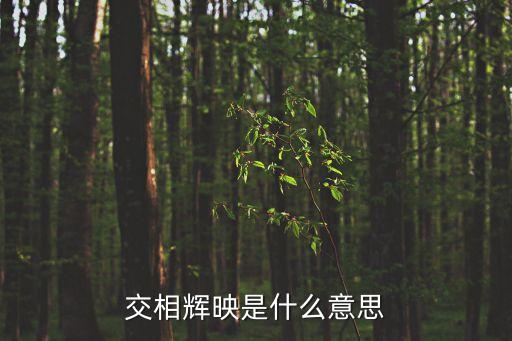 交相輝映是什么意思
