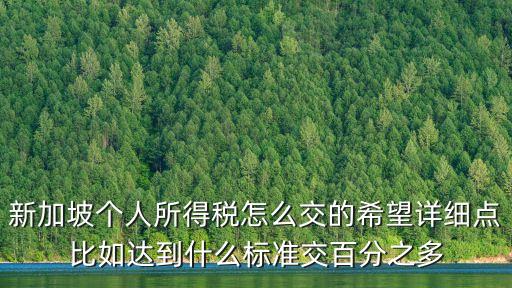 新加坡個人所得稅怎么交的希望詳細點比如達到什么標準交百分之多