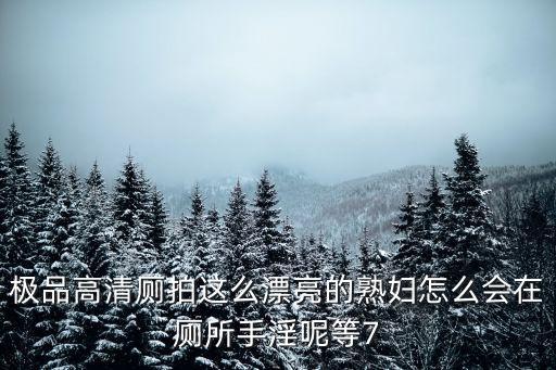 極品高清廁拍這么漂亮的熟婦怎么會在廁所手淫呢等7