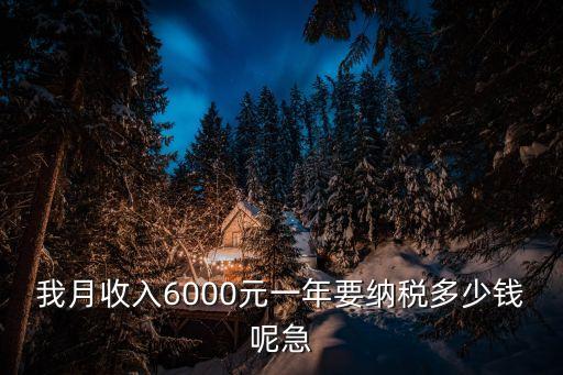 我月收入6000元一年要納稅多少錢呢急