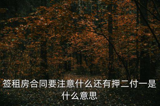 簽租房合同要注意什么還有押二付一是什么意思