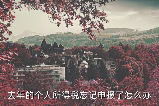 去年的個人所得稅忘記申報了怎么辦