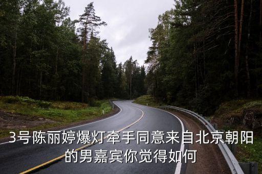 陳麗婷，陳麗婷愛陳旭嗎