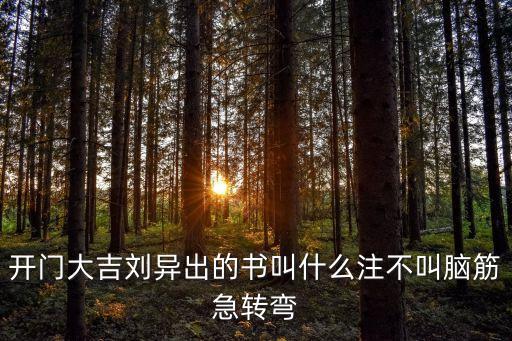 開(kāi)門大吉?jiǎng)惓龅臅?shū)叫什么注不叫腦筋急轉(zhuǎn)彎