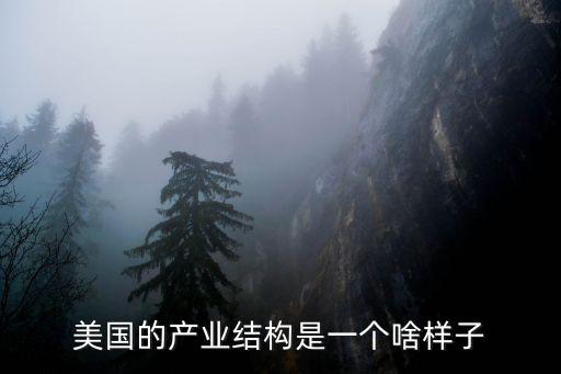 美國(guó)產(chǎn)業(yè)結(jié)構(gòu)，二戰(zhàn)后美國(guó)產(chǎn)業(yè)結(jié)構(gòu)發(fā)生什么變化