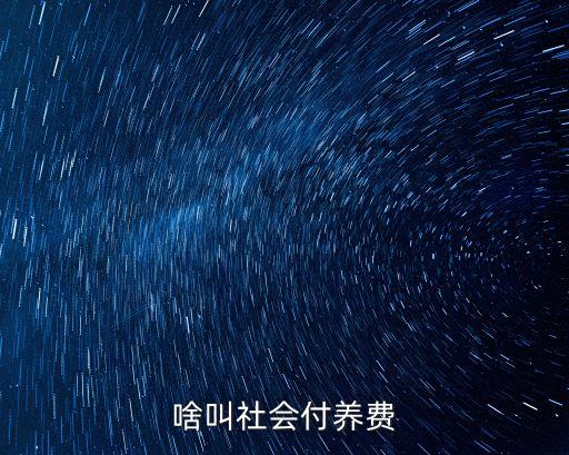 社會撫養(yǎng)費(fèi)是什么意思，什么是社會撫養(yǎng)費(fèi)