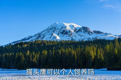 貓頭鷹可以個(gè)人飼養(yǎng)嗎