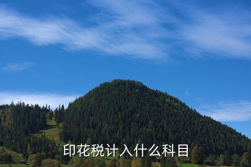 印花稅計入什么科目