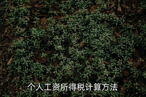 工資個人所得稅，工資所得稅怎么算