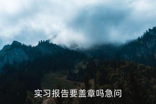畢業(yè)實(shí)習(xí)蓋章，實(shí)習(xí)報(bào)告要蓋章嗎急問