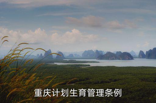 重慶計(jì)劃生育管理?xiàng)l例
