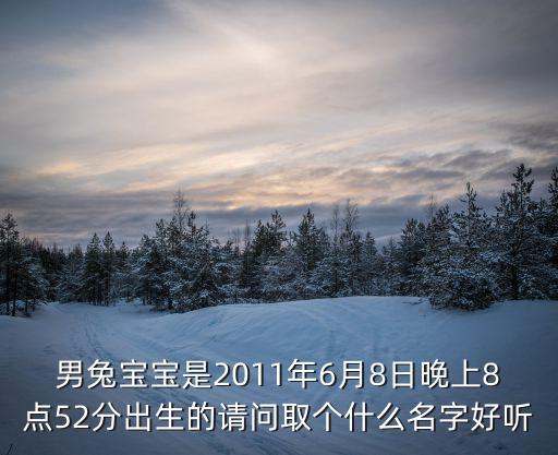 男兔寶寶是2011年6月8日晚上8點(diǎn)52分出生的請(qǐng)問(wèn)取個(gè)什么名字好聽(tīng)