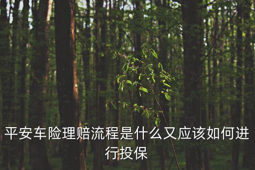 平安車險理賠流程是什么又應(yīng)該如何進(jìn)行投保