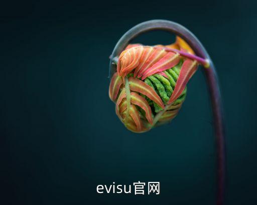 evisu官網(wǎng)