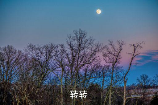 轉(zhuǎn)轉(zhuǎn)分期，轉(zhuǎn)轉(zhuǎn)
