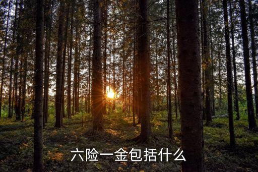 六險(xiǎn)一金比五險(xiǎn)一金多了什么，六險(xiǎn)一金包括什么