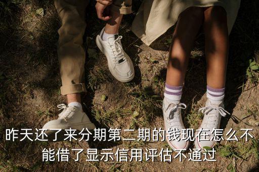 昨天還了來(lái)分期第二期的錢(qián)現(xiàn)在怎么不能借了顯示信用評(píng)估不通過(guò)