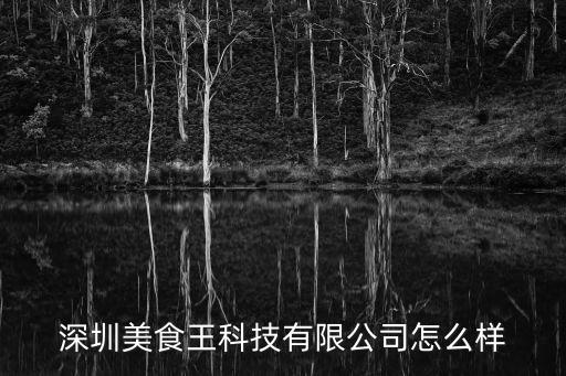 深圳美食王科技有限公司怎么樣