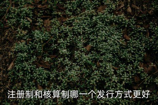 注冊制和核準(zhǔn)制的區(qū)別，注冊制和核算制哪一個發(fā)行方式更好