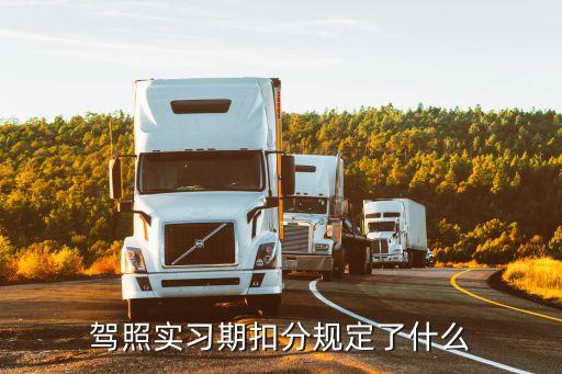 駕照實(shí)習(xí)期扣分規(guī)定了什么
