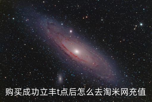 購買成功立豐t點后怎么去淘米網(wǎng)充值