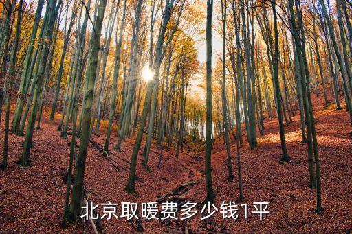 北京取暖費多少錢1平