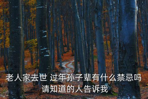 老人家去世 過年孫子輩有什么禁忌嗎 請知道的人告訴我