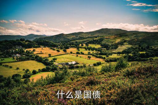 國債券是什么，什麼是國債