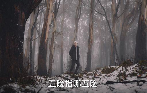 五險指哪五險