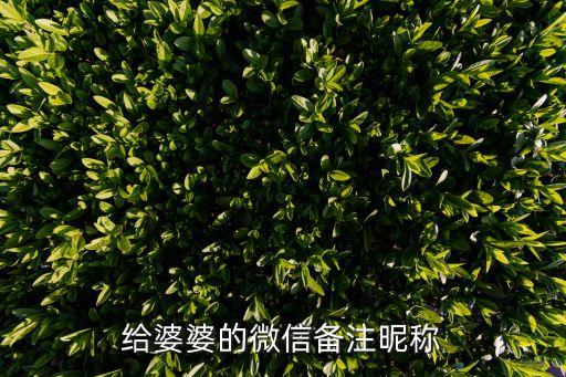 給婆婆的備注，你們有婆婆的微信都是備注什么