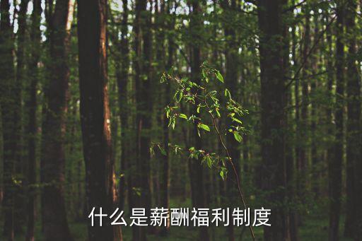 什么是薪酬福利制度