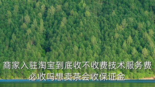 商家入駐淘寶到底收不收費技術服務費必收嗎想賣茶會收保證金
