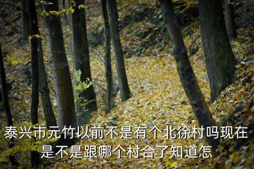 元竹，泰興市元竹以前不是有個北徐村嗎現(xiàn)在是不是跟哪個村合了知道怎
