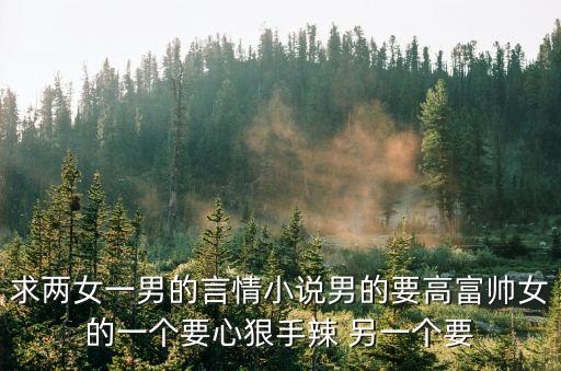 求兩女一男的言情小說男的要高富帥女的一個(gè)要心狠手辣 另一個(gè)要