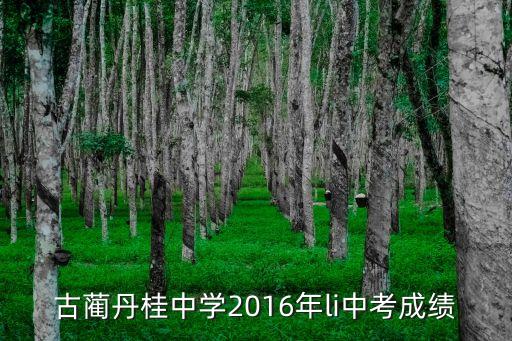 古藺丹桂中學(xué)2016年li中考成績(jī)