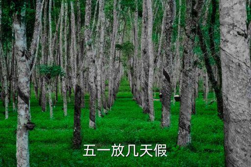 五一假，五一法定假日