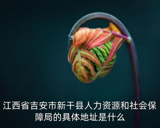 江西省吉安市新干縣人力資源和社會保障局的具體地址是什么