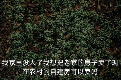 我家里沒人了我想把老家的房子賣了現(xiàn)在農(nóng)村的自建房可以賣嗎
