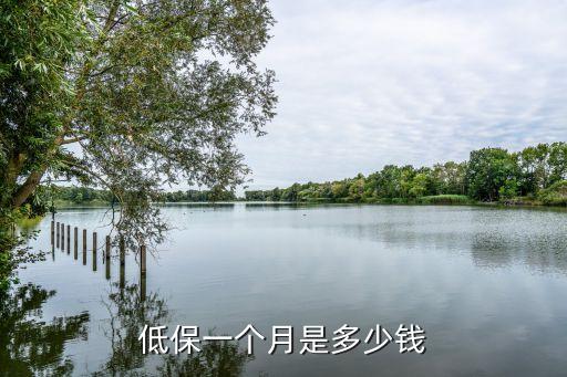低保一個月是多少錢